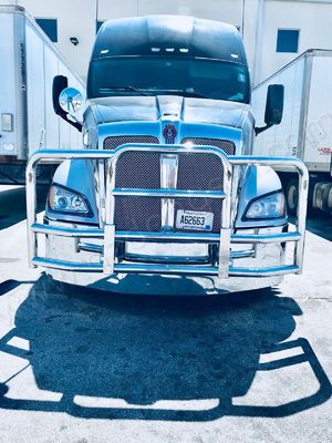 Garde de la meilleure qualité de 304 de qualité cerfs communs de camion 12 mois de garantie pour  Freightliner
