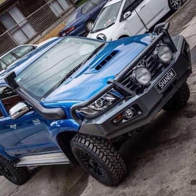 Acier Front Bull Bar For Toyota Hilux Revo Vigo Nissan Navara Np de Wholesale Powder Coated de fabricant d'OEM 300 D40